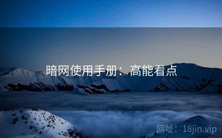 暗网使用手册：高能看点