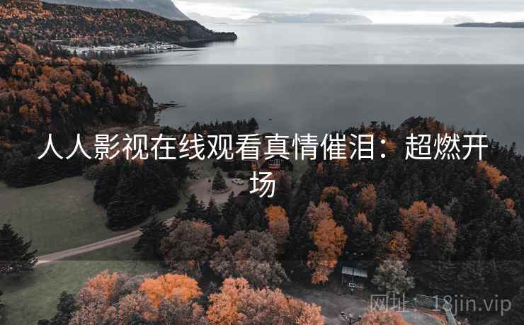 人人影视在线观看真情催泪：超燃开场