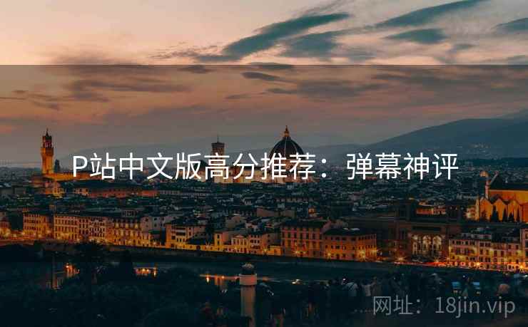 P站中文版高分推荐：弹幕神评