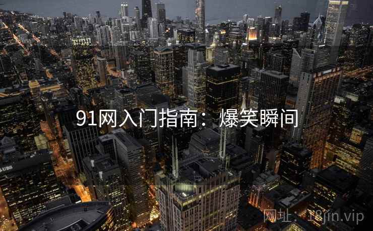 91网入门指南：爆笑瞬间