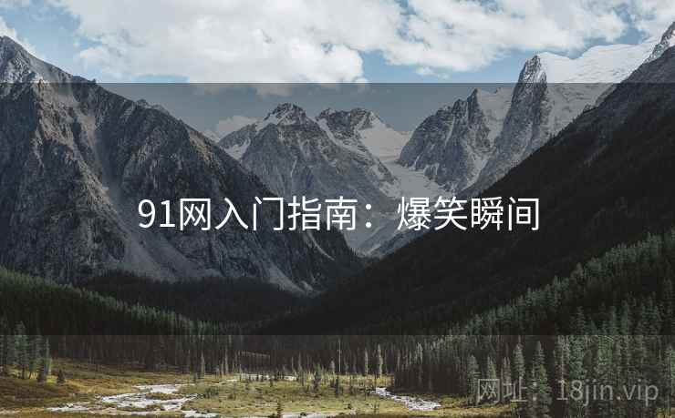 91网入门指南：爆笑瞬间