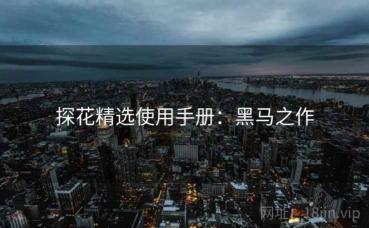 探花精选使用手册：黑马之作